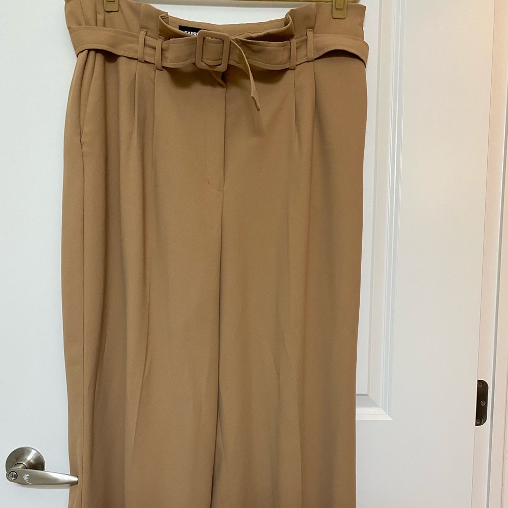 Express Wide Leg Dress Pants